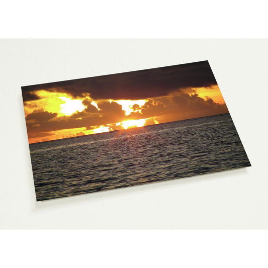 a0be3ae4-3a65-4df9-afd4-6101e7fa2977