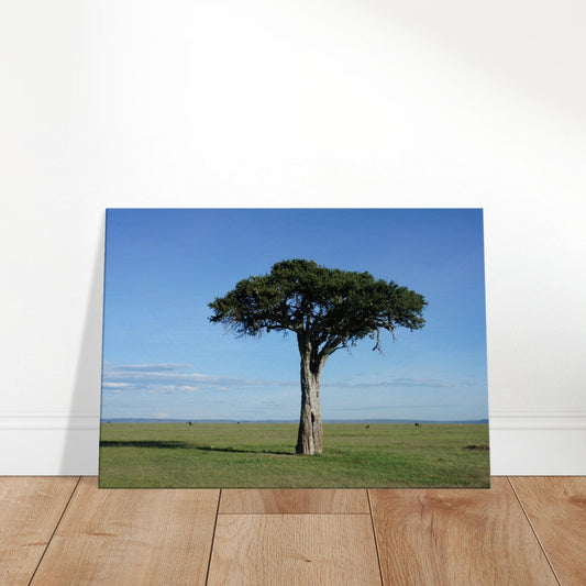 c024e028-cd18-48bd-9866-ea088a3a9f54